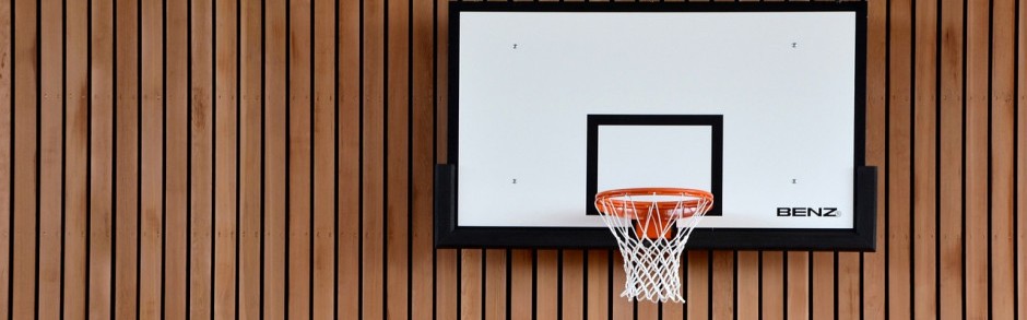 林葳参加g联盟选秀 今夏能否复刻崔永熙逆袭？