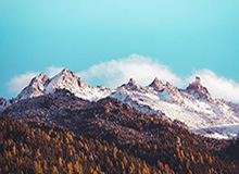 星空体育中国-国米官方晒视频：姚明传递奥运圣火经过国米总部